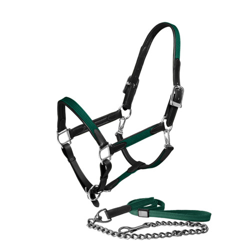 Capastru din piele Sycamore green